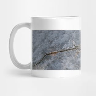 Ichthyosaur fossil (C030/0747) Mug